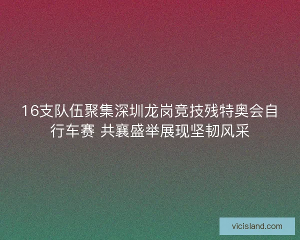 16支队伍聚集深圳龙岗竞技残特奥会自行车赛 共襄盛举展现坚韧风采